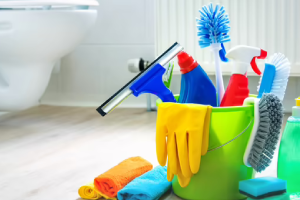 Messie Reinigung Ravensburg