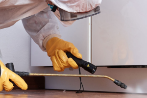 Messie Schädlingsbekämpfung Ravensburg